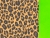 Animal print com verde limão - ANCVDE