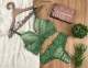 Linha Golden. Conjunto Estilo Cropped todo Rendado