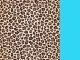 Animal Print com Azul Frozen - ANCAZF