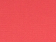 Coral - CORAL